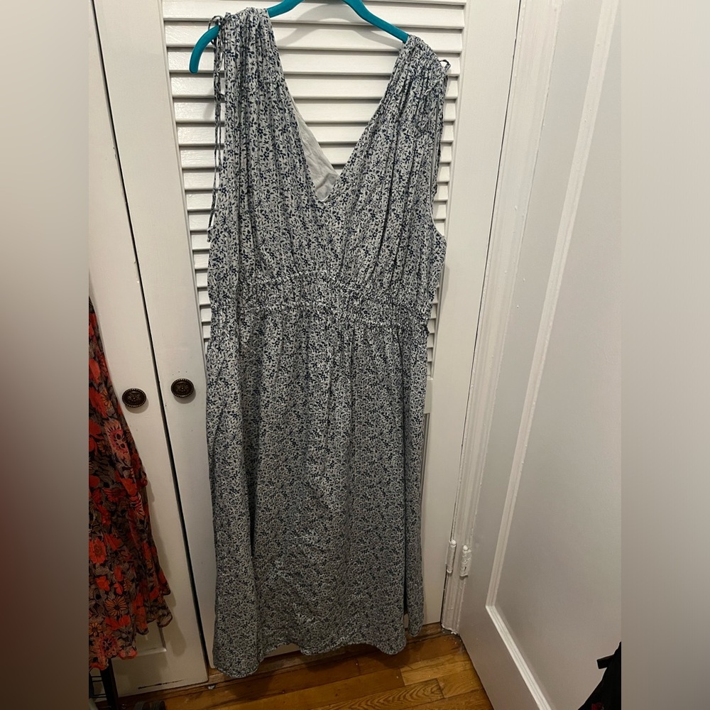 Madewell 4X Cotton Floral Dress